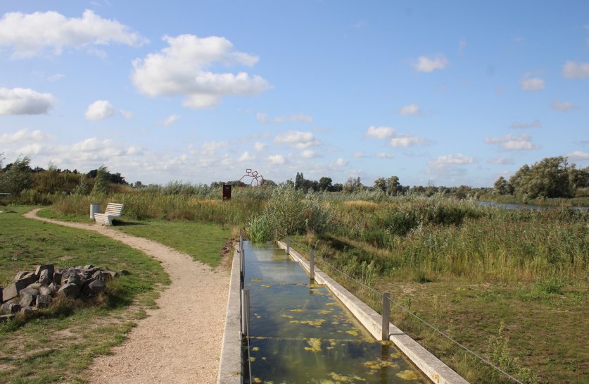 BIESBOSCH-03
