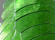 THUMB-04-STRATUM5