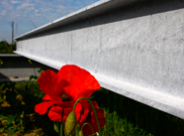 THUMB-08-MARTIGNY