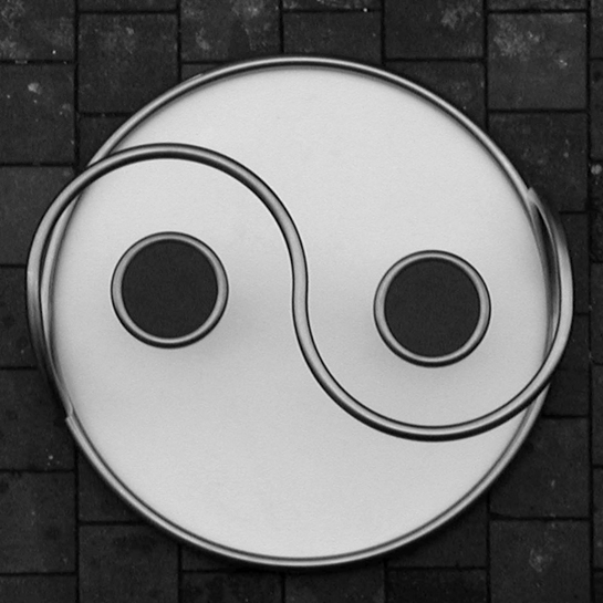 Ying Yang projectie
